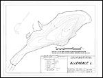 Large Bathymetric Map (Depth Chart) of Allendale Lake Product preview image