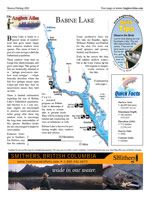 Laminated Map of Babine Lake Product preview image