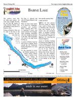 Laminated Map of Babine Lake Product preview image