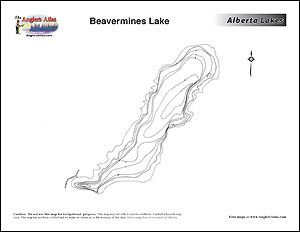 Depth chart