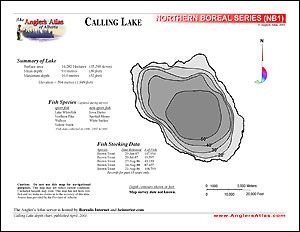 Depth chart