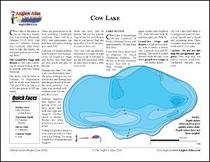 Depth chart