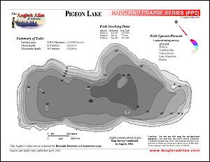 Depth chart