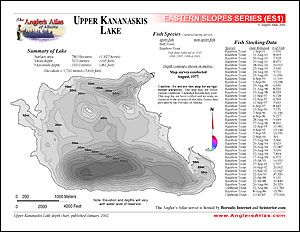 Depth chart