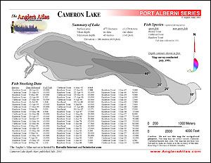 Depth chart