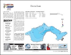 Depth chart