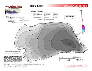 Depth chart
