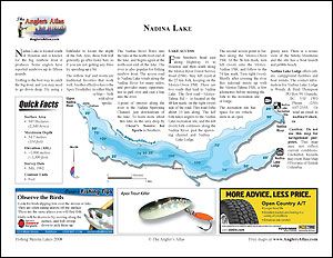 Depth chart