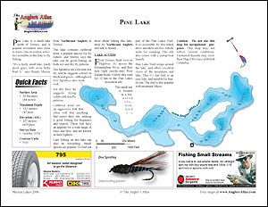 Depth chart