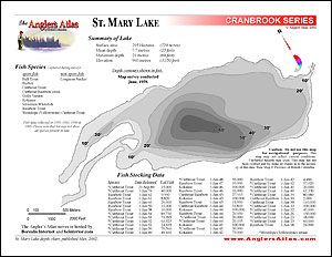 Depth chart