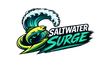Tournament logo