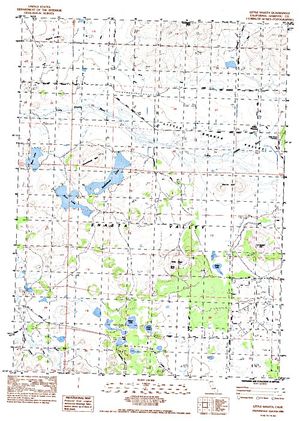Topographic map for Bass Lake, California
