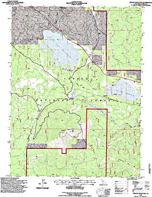 Topographic map for Susan River, California