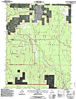 Topographic map for Susan River, California