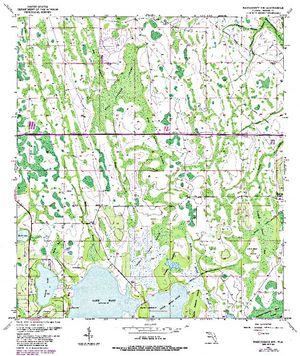 Roberts Island Slough Angler 39 s - Narcoossee NW O28081D2 Geo 300