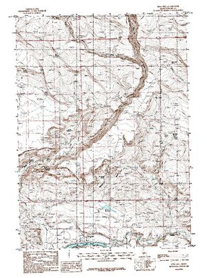 Topographic map for Snake River, Idaho