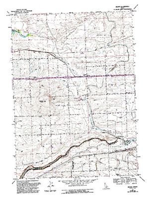 Topographic map for Snake River, Idaho