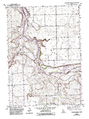 Topographic map for Snake River, Idaho