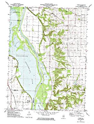 Topographic map for Swan Lake, Illinois
