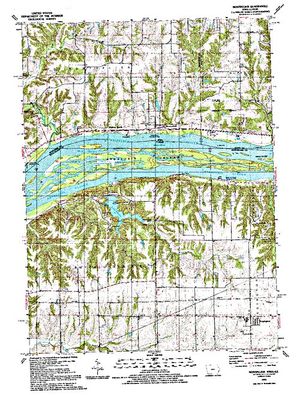 Topographic map for Andalusia Slough, Illinois