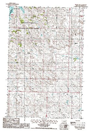 Topographic map for Fort Peck Lake, Montana