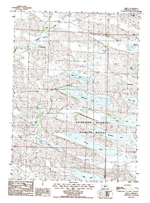Topographic map for Big Alkali Lake, Nebraska