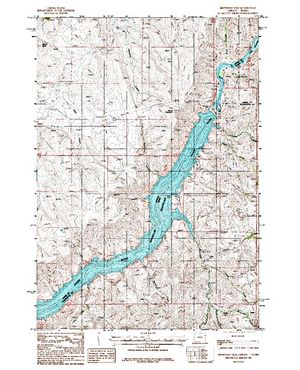 Topographic map for Snake River, Idaho