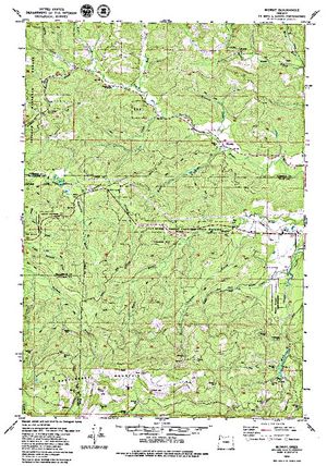 Topographic map for Salmon River, Oregon