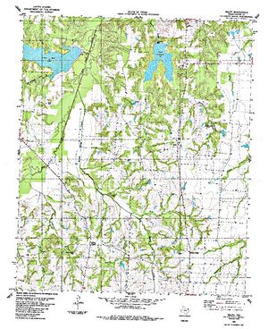Topographic map for Coffee Mill Lake, Texas