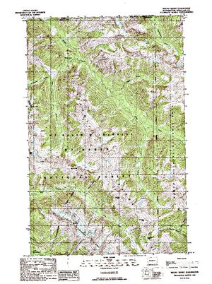 Topographic map for Chilliwack River, British Columbia