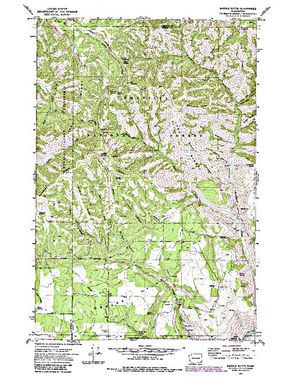 Topographic map for Grande Ronde River, Oregon