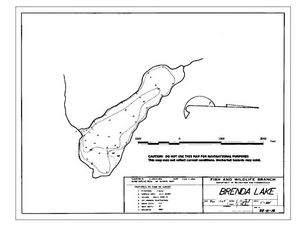 Contour map for BRENDA LAKE, British Columbia