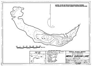 Contour map for MIDDLE QUINSAM LAKE, British Columbia