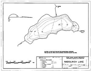 Contour map for NADSILNICH LAKE, British Columbia