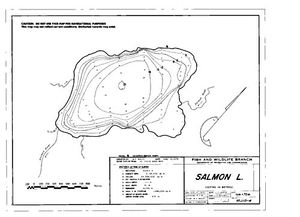 Contour map for Salmon River, British Columbia