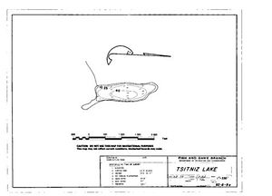 Contour map for TSITNIZ LAKE, British Columbia