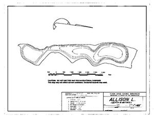 Contour map for ALLISON LAKE, British Columbia