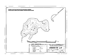 Contour map for AMANITA LAKE, British Columbia