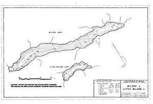 Contour map for WILSON LAKE, British Columbia