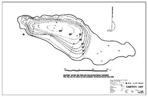 Contour map for CAMERON LAKE, British Columbia