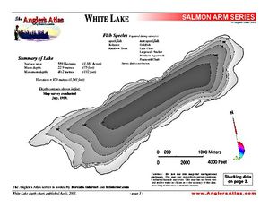 Shaded Contour map for WHITE LAKE, British Columbia