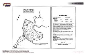 Contour map for Billings Lake, Ontario