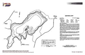 Contour map for Grippen Lake, Ontario