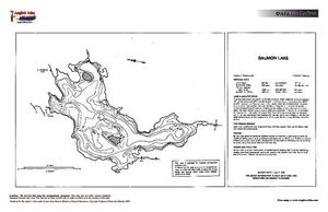 Contour map for Salmon Lake, Ontario