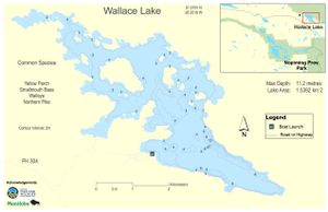 Shaded Contour map for Wallace Lake, Manitoba
