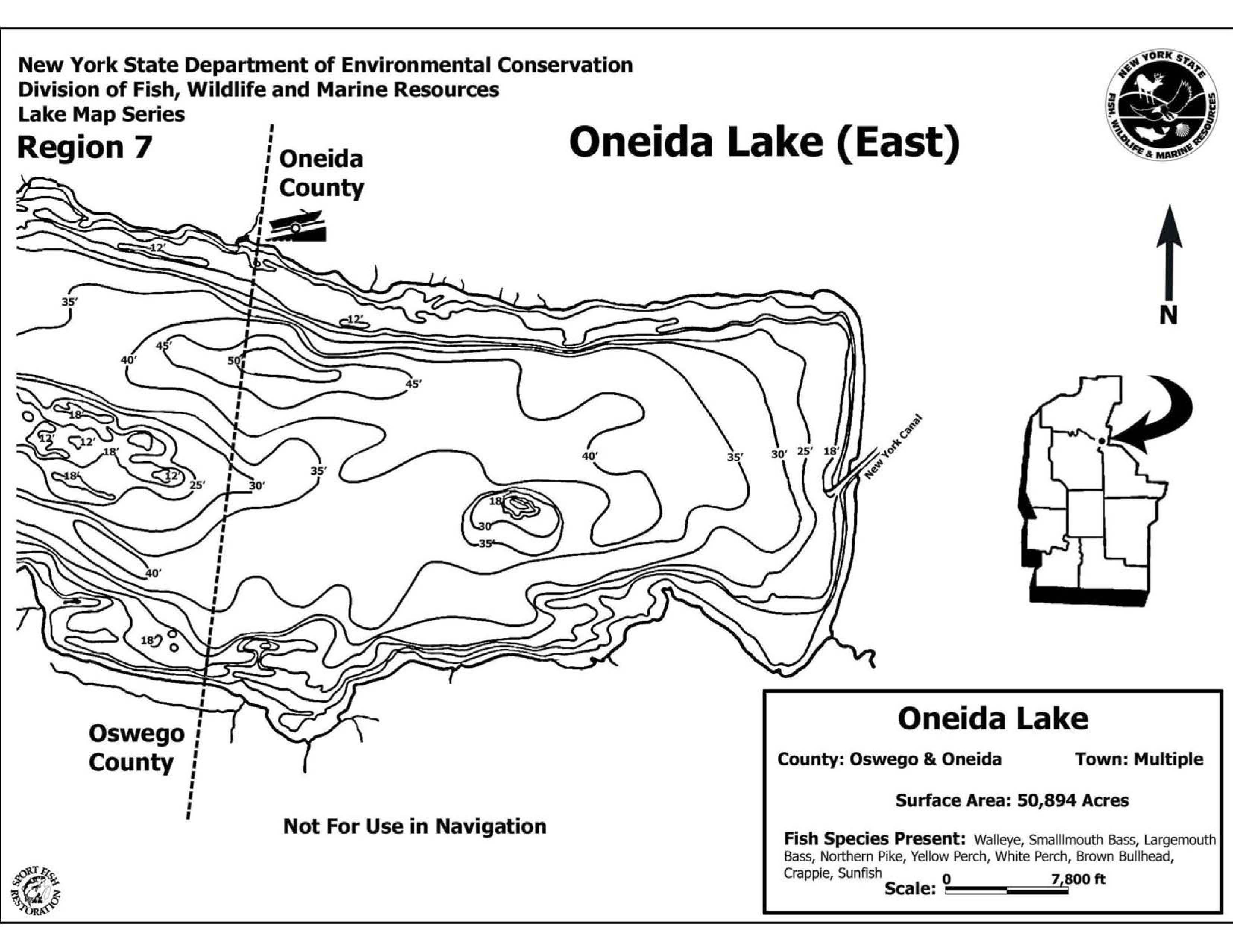 Oneida Lake Depth Chart