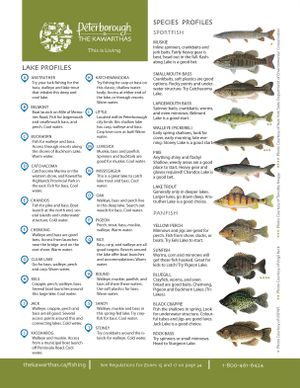 Article map for Salmon Lake, Ontario