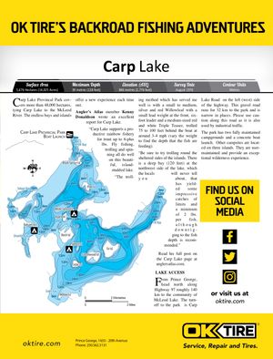 Shaded Contour map for CARP LAKE, British Columbia