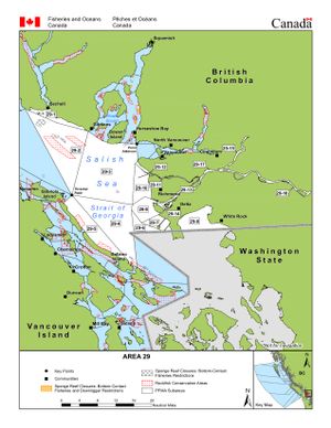 Management Area map for Serpentine River, British Columbia