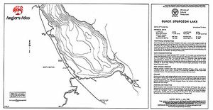 Contour map for Black Sturgeon Lake, Ontario
